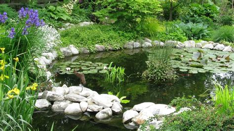 20 Beautiful Backyard Pond Ideas for All Budgets .